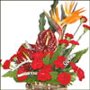 Immense Pleasure - Click here to View more details about this Product
